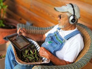 UK Farmers Waiting for Payment