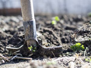 Hobby Farm Health and Safety