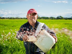 What are Some of the Problems UK Farmers Face?