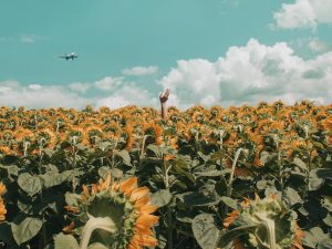 Different Types of UK Commercial Farming