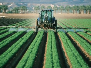 A Little About the History of Farming