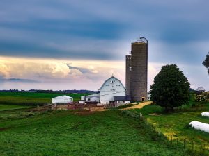 Mega Farms in the UK