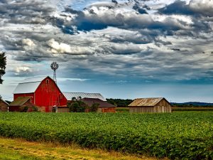 What is Hobby Farming in the UK?