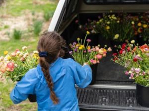 How Governments Can Get Young People Interested in Farming