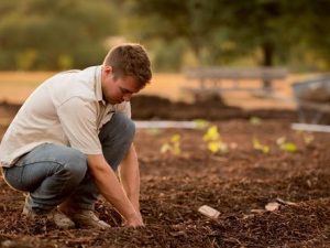 Emerging Trends Small Scale Farmers in UK Must Embrace