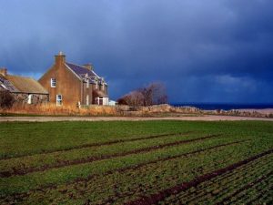 Decorating a Farm Home